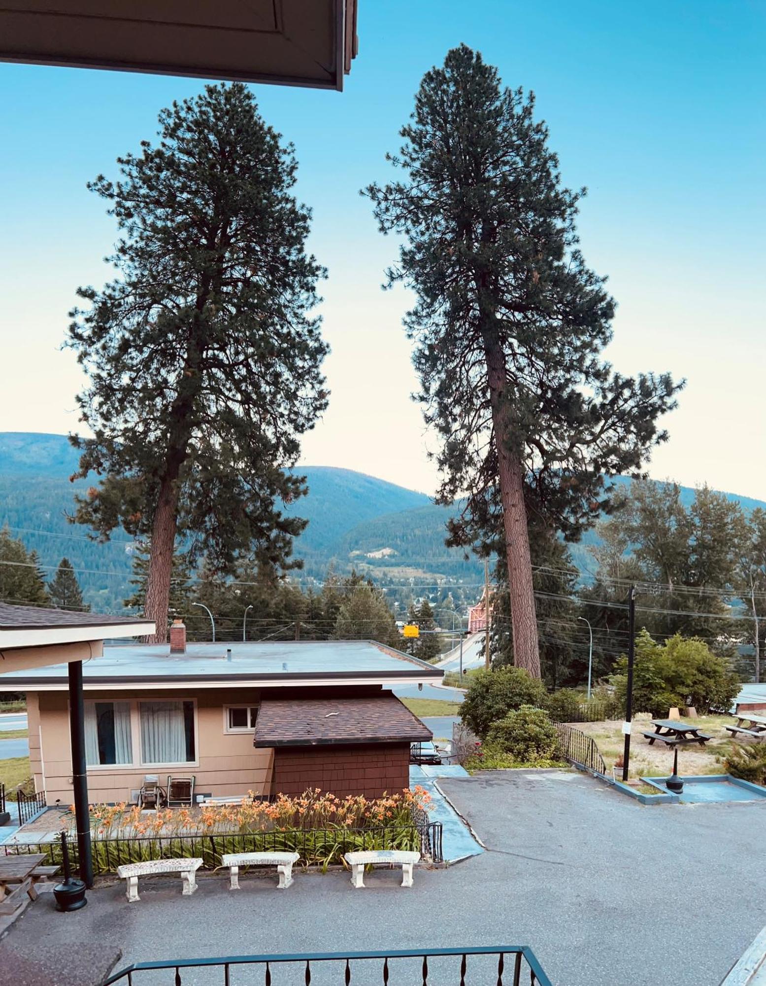 Villa Motel Nelson Exterior foto